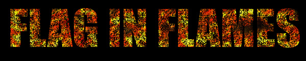 Flag in Flames