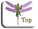 Top of Page